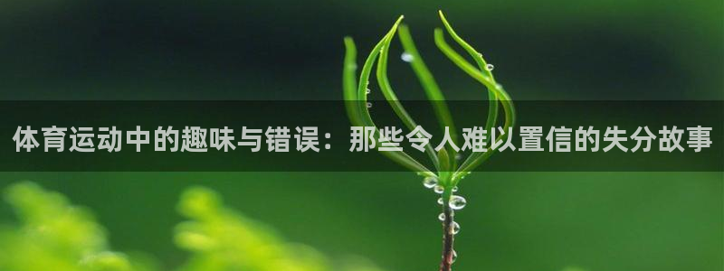 xc体育app官方网站