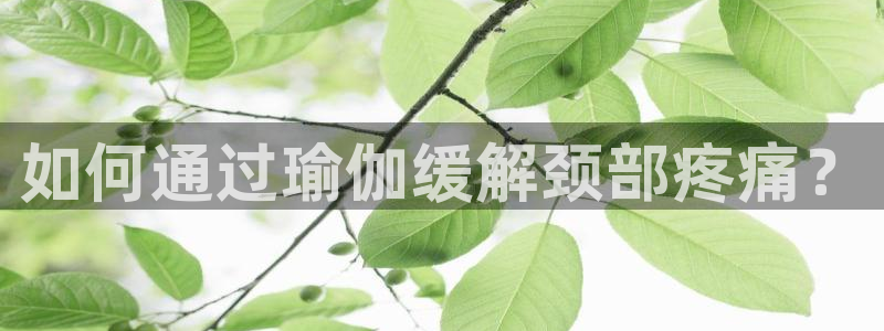 xc体育app官方网站