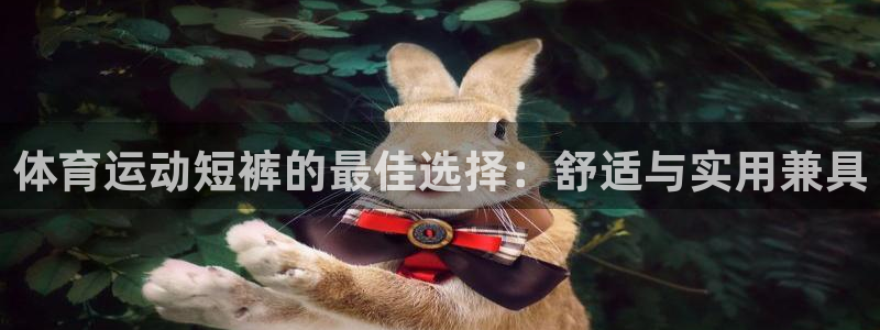 xc体育