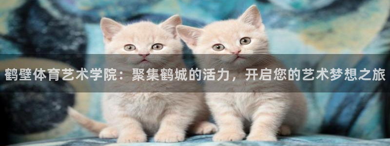 xc体育app官方网站：鹤壁体育艺术学院：聚集鹤城的活力，开启您的艺术梦想之旅