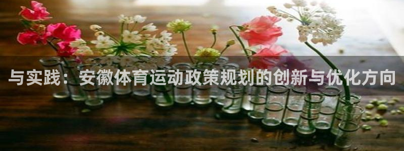 xc体育app官方网站：与实践：安徽体育运动政策规划的创新与优化方向