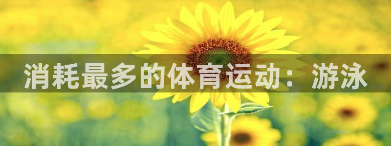 xc体育：消耗最多的体育运动：游泳