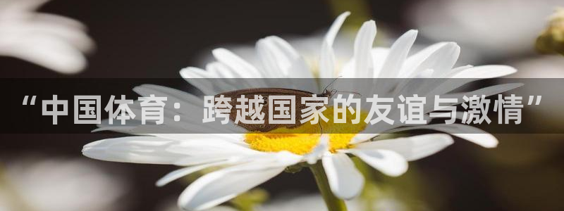 xc体育app官方网站：“中国体育：跨越国家的友谊与激情”