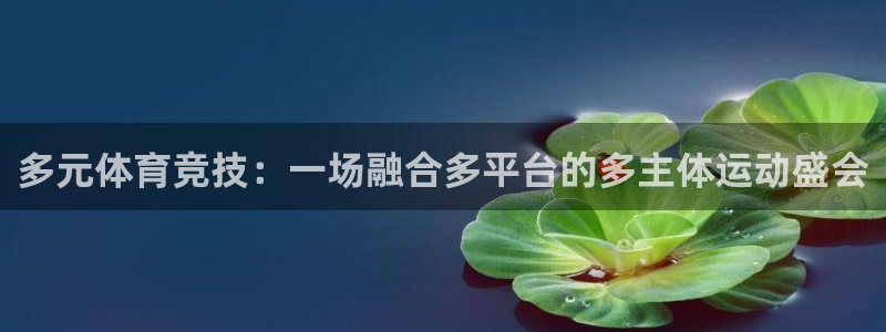 xc体育：多元体育竞技：一场融合多平台的多主体运动盛会