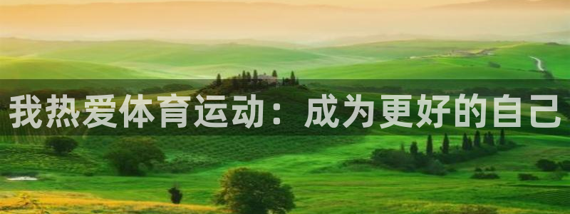 xc体育app官方网站