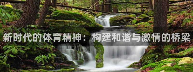 xc体育