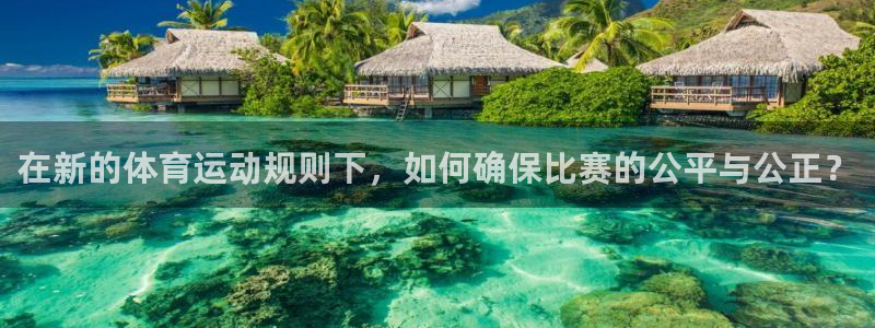 xc体育app官方网站