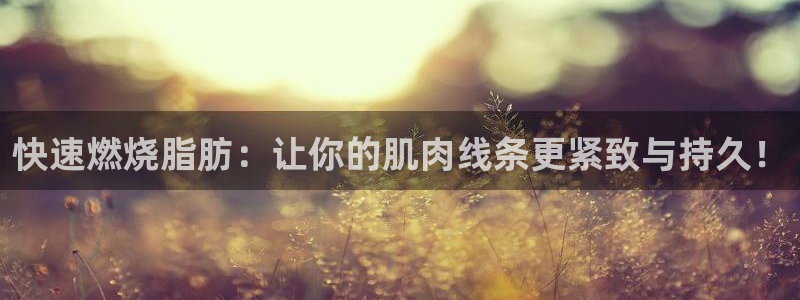 xc体育app官方网站