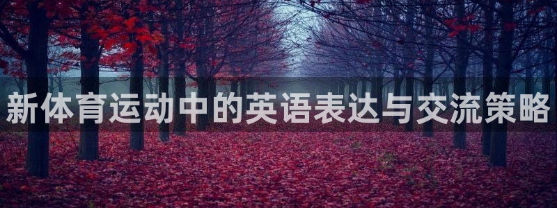 xc体育：新体育运动中的英语表达与交流策略