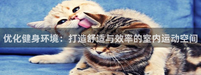 xc体育app官方网站：优化健身环境：打造舒适与效率的室内运动空间