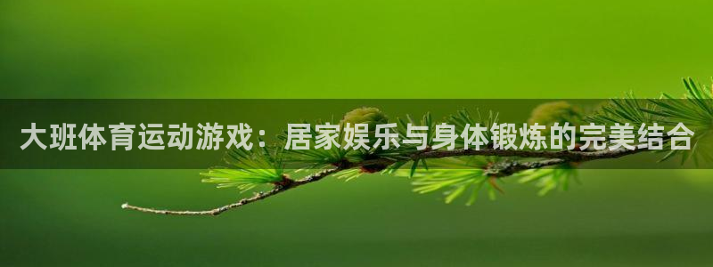 xc体育app官方网站：大班体育运动游戏：居家娱乐与身体锻炼的完美结合