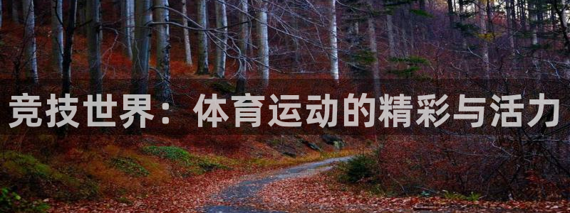 xc体育