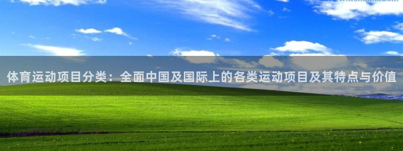 xc体育