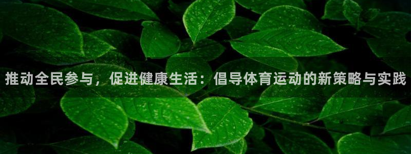 xc体育app官方网站
