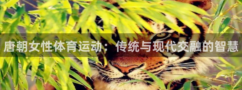 xc体育app官方网站