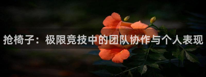 xc体育app官方网站：抢椅子：极限竞技中的团队协作与个人表现